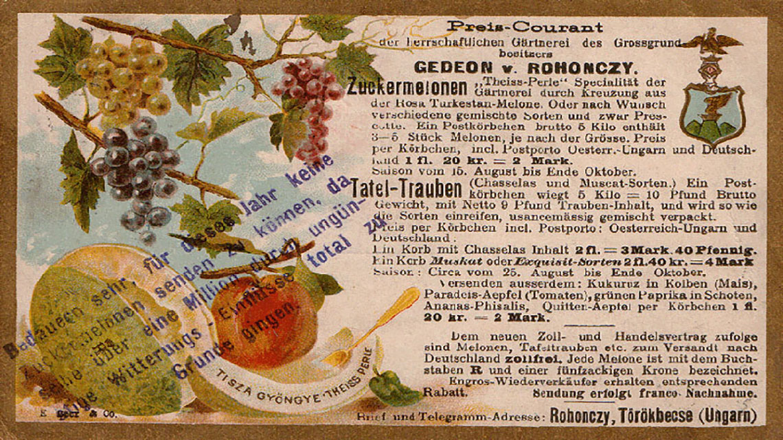 Pearl Island's rich history unfolds: Leopold Rohonci's love, vineyards, and the renowned Muscat Krokan wine. Discover the legacy of Biserno Ostrvo
