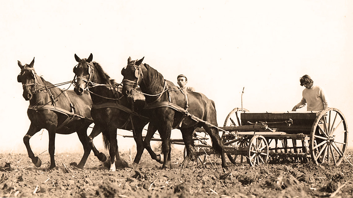 Explore the challenges and joys of a farmer's life in a bygone era through vivid storytelling. Discover the resilience and camaraderie that defined their daily struggles