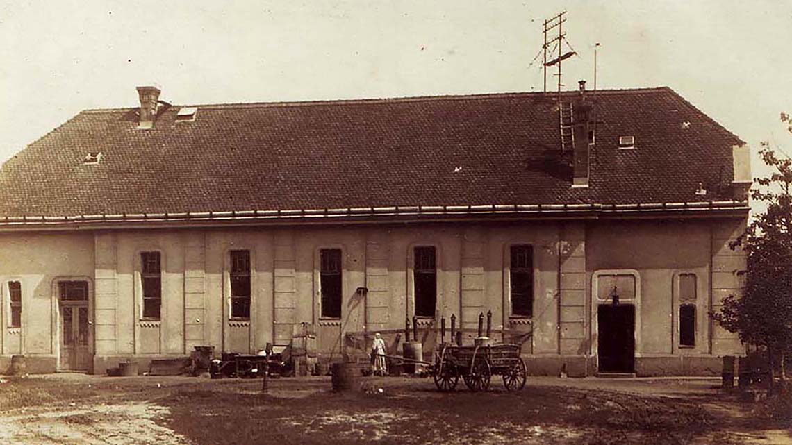 Private Gymnasium in Novi Bečej (1924–1931): An Educational Center and Its End