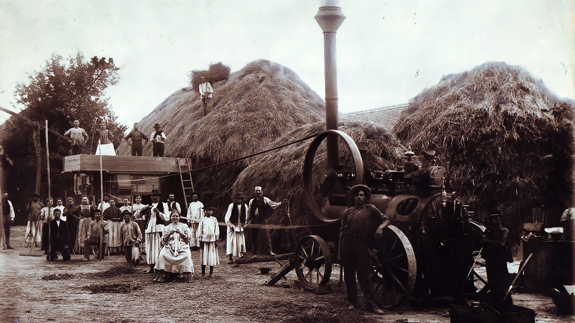 Razvoj Prve srpske zemljoradničke zadruge u Vranjevu: Istorijat i napredak