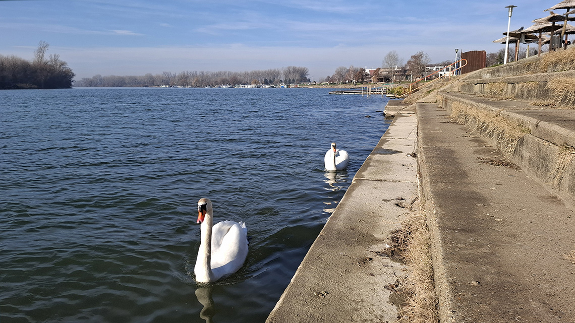 The History of the Development of Water Management in Vojvodina and Banat