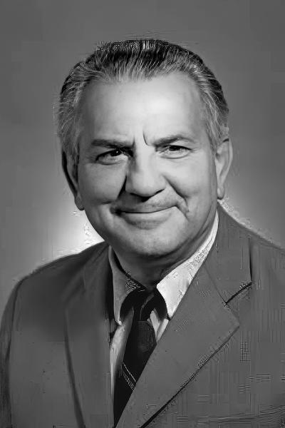 Bogdan Čiplić