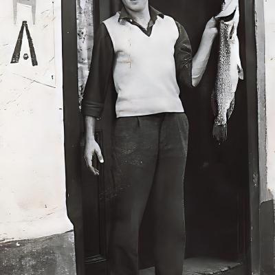 Sava Zokić