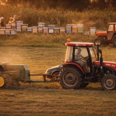 Tamo gde grad prestaje