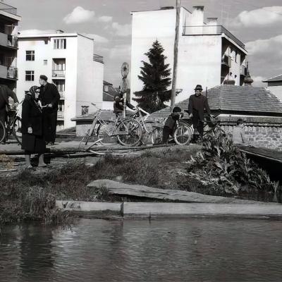 Novi Bečej