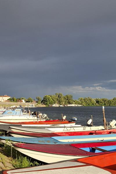 Tisa