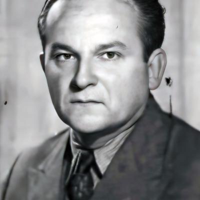 Vojislav Krstonošić, golgeter Jedinstva