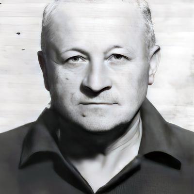 Veselin Marčić